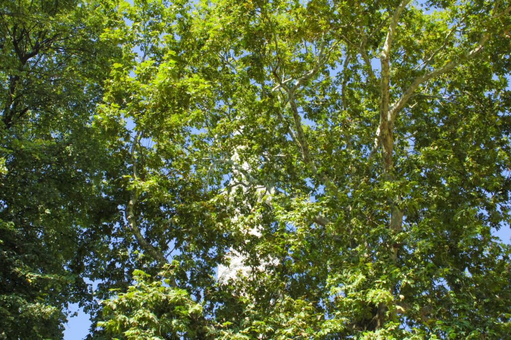 Comment devenir recruteur indépendant ?